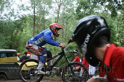 DH 203.jpg
